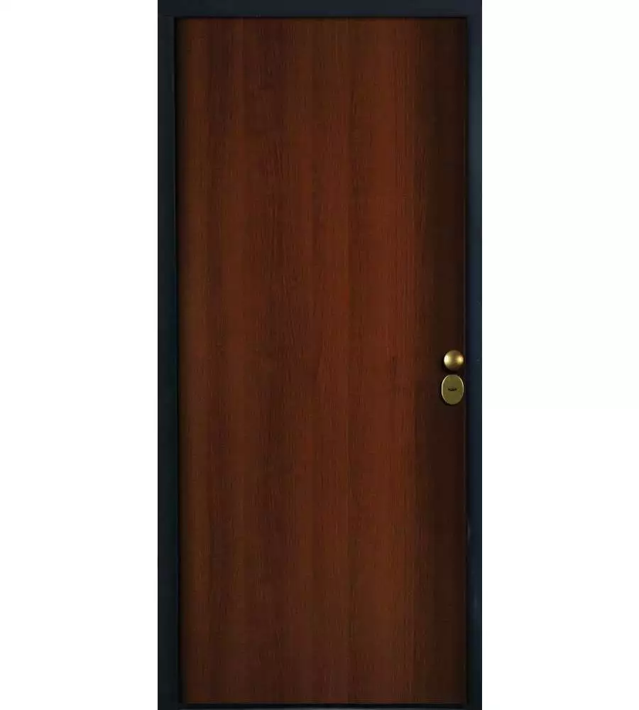 PORTONCINO BLINDATO COLORE TANGANICA CON APERTURA A SINISTRA, 90X210 CM